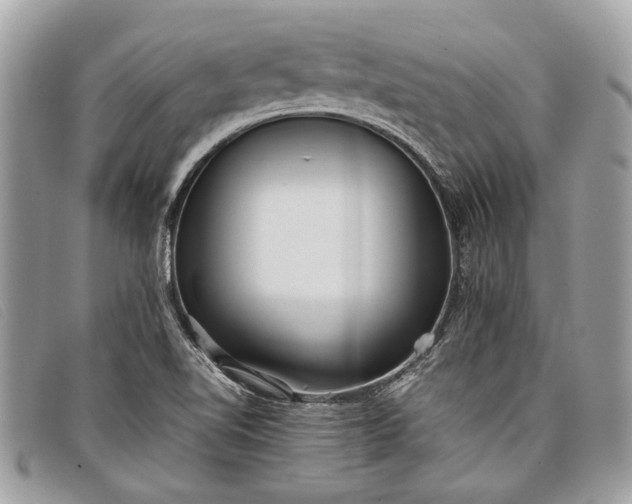 X0000098021510200804111244