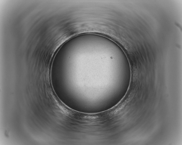 X0000098021513200804111245