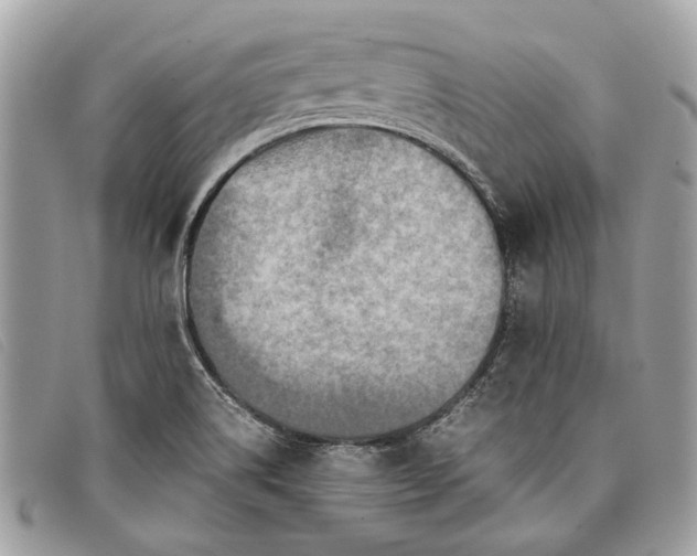 X0000098021514200804111245