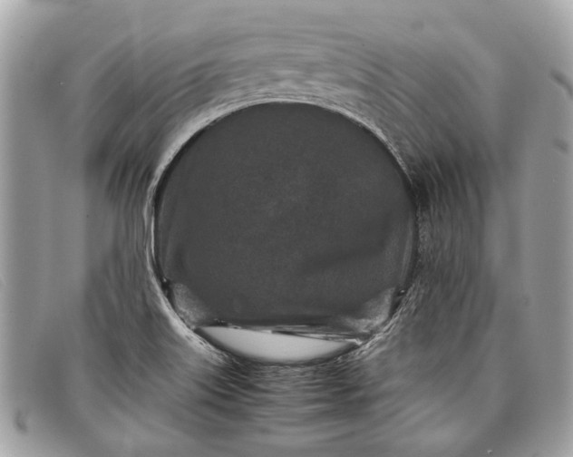 X0000098021515200804111245