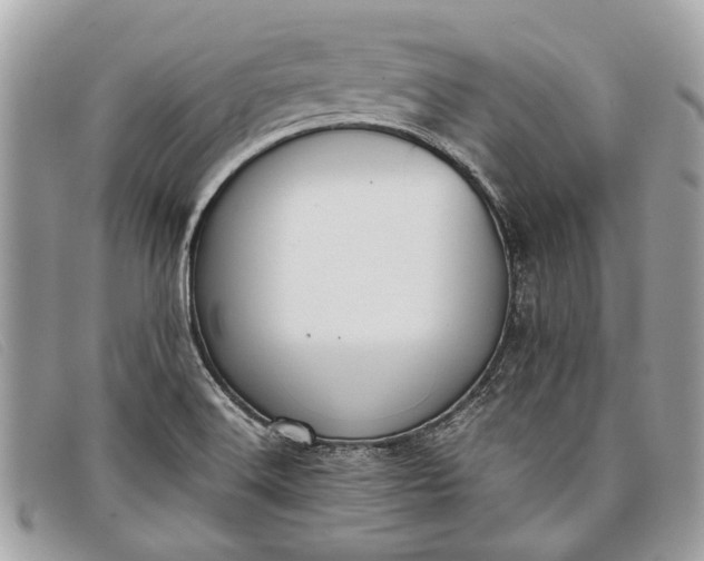 X0000098021516200804111245