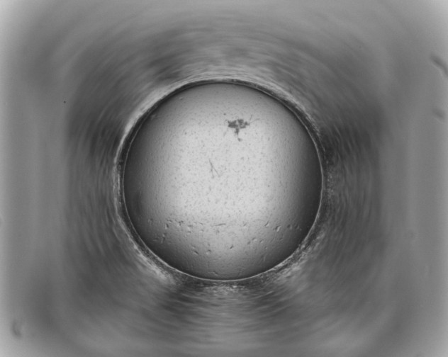 X0000098021517200804111245