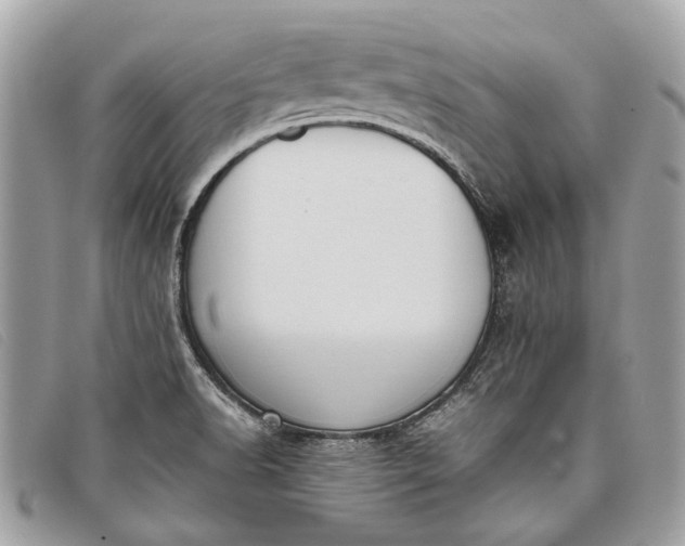 X0000098021518200804111245