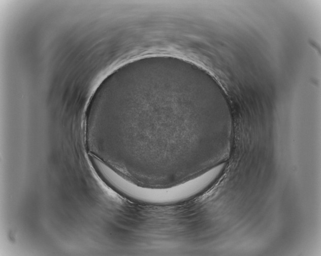 X0000098021519200804111245