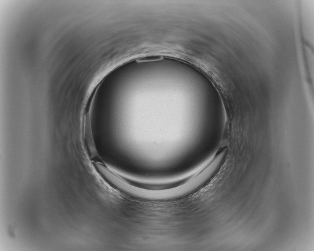 X0000098021520200804111245