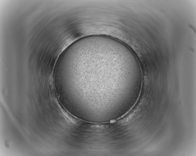 X0000098021521200804111245