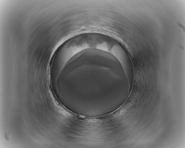 X0000098021522200804111245