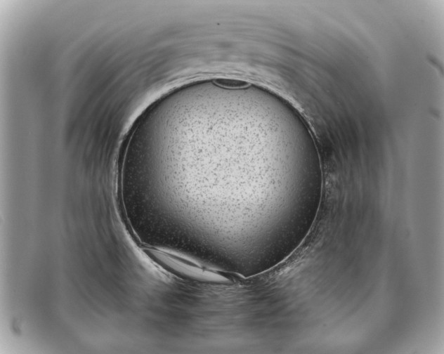 X0000098021523200804111245