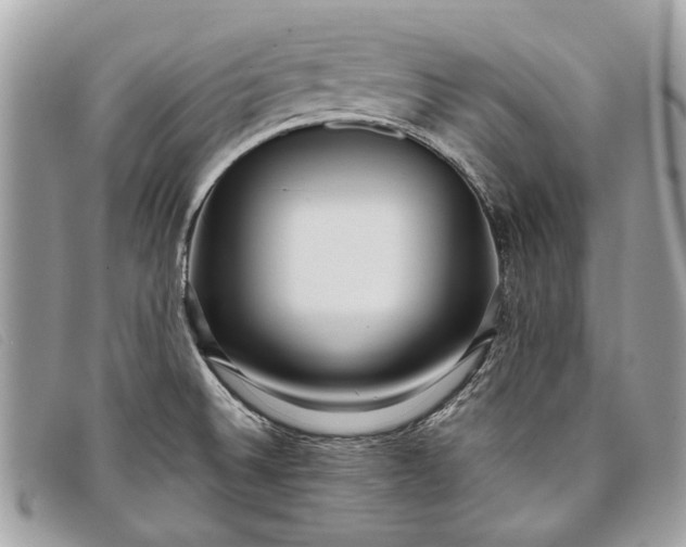 X0000098021524200804111245