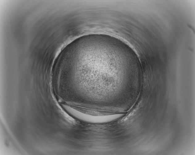 X0000098021525200804111245