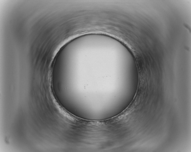 X0000098021526200804111245