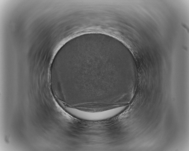 X0000098021527200804111245