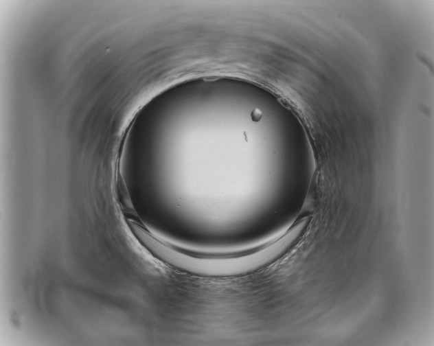 X0000098021528200804111245