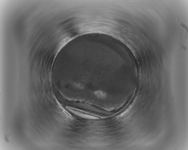 X0000098021529200804111245