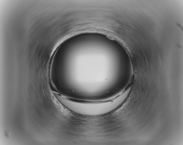 X0000098021530200804111245