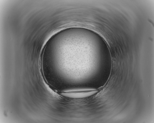 X0000098021531200804111245