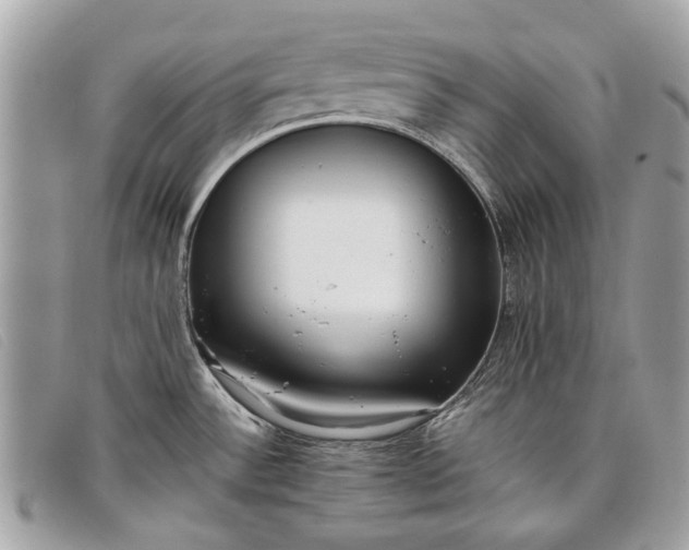 X0000098021532200804111245