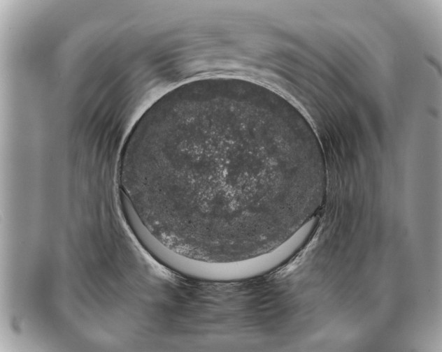 X0000098021533200804111245