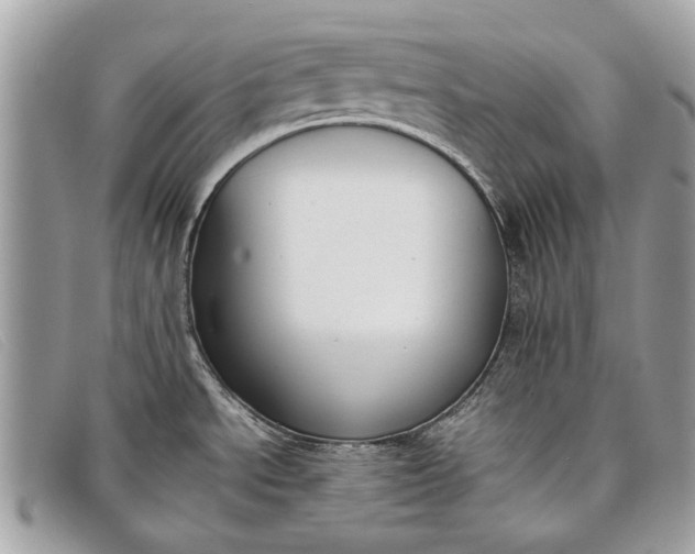 X0000098021534200804111245