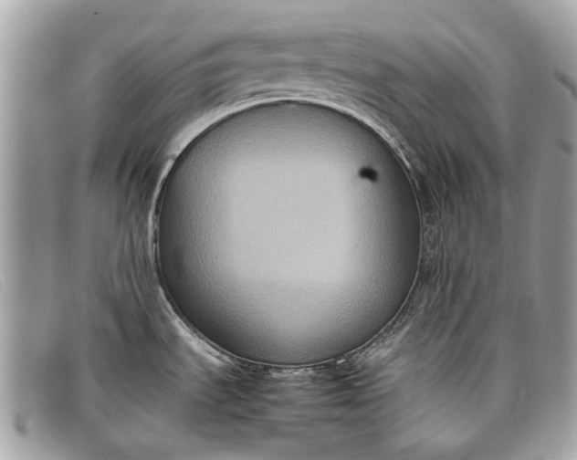 X0000098021535200804111245