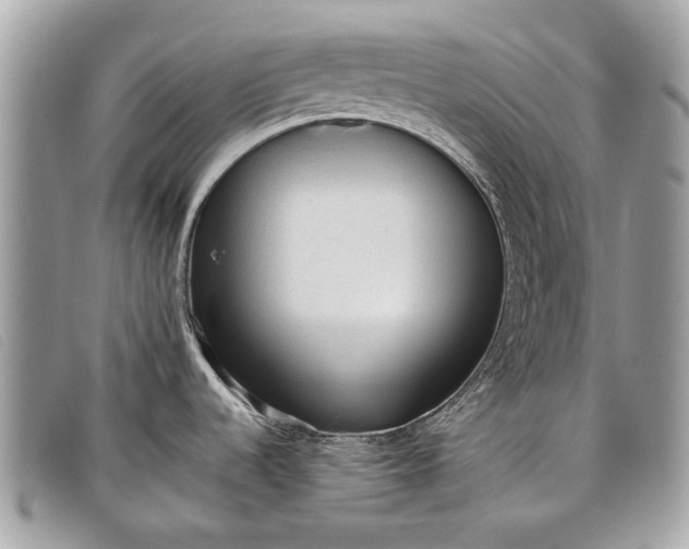 X0000098021536200804111245