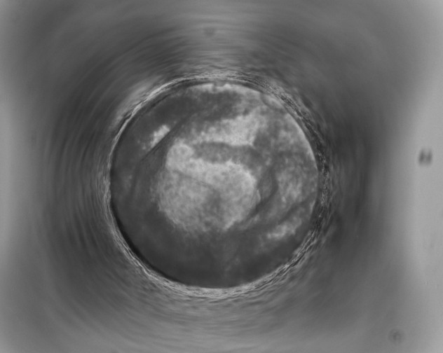 X0000098020002200804181215