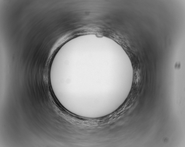 X0000098020004200804181215