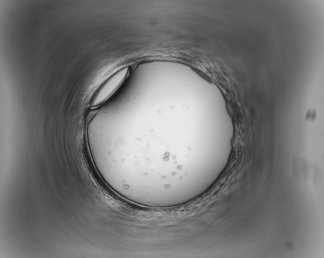 X0000098020005200804181215