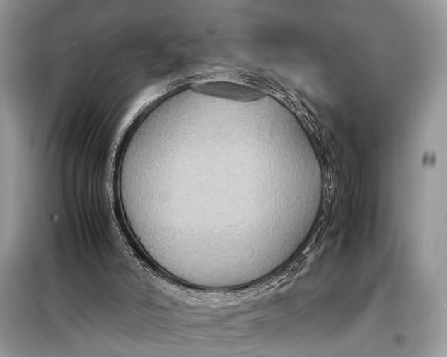 X0000098020006200804181215