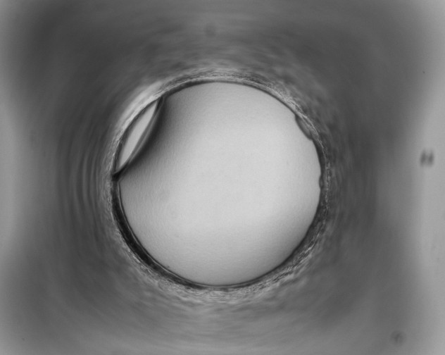 X0000098020007200804181215