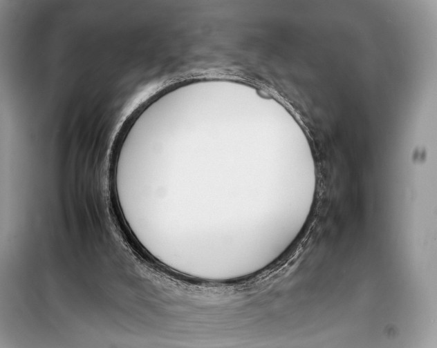 X0000098020008200804181215