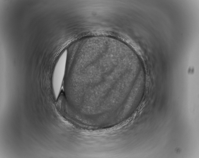 X0000098020009200804181215