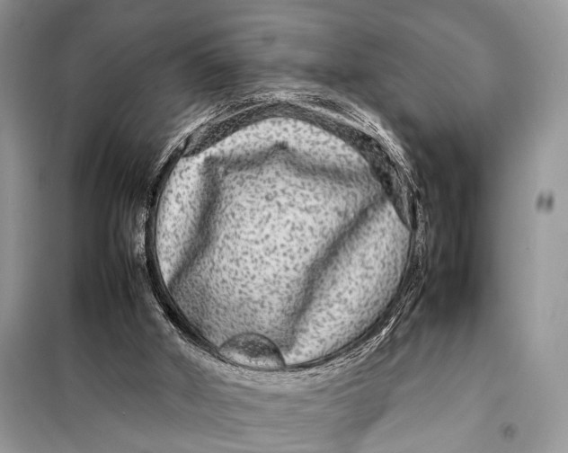 X0000098020010200804181215