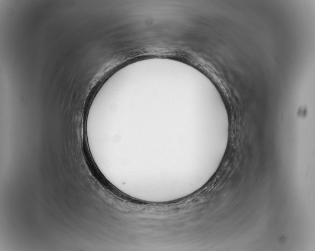 X0000098020011200804181215