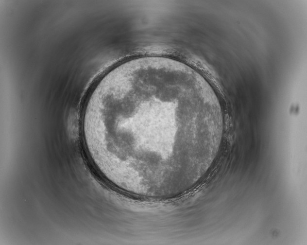 X0000098020012200804181215