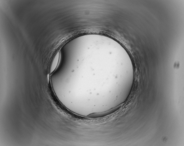 X0000098020013200804181215
