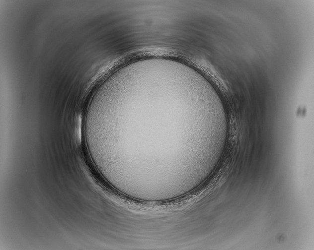 X0000098020014200804181215