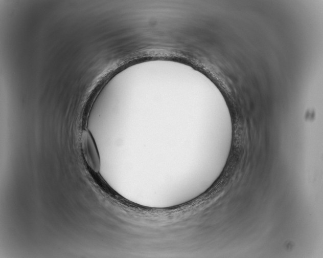 X0000098020015200804181215