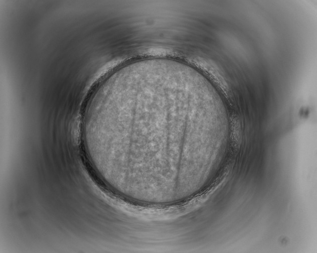 X0000098020016200804181215