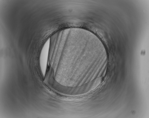 X0000098020017200804181215
