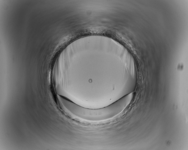 X0000098020019200804181215