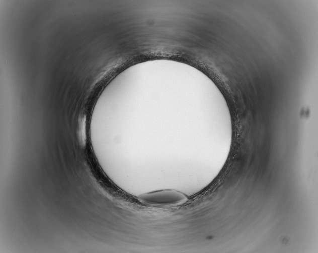 X0000098020020200804181215