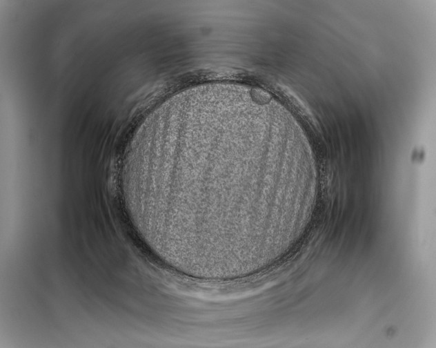 X0000098020026200804181214