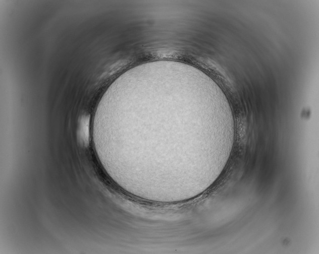 X0000098020028200804181214