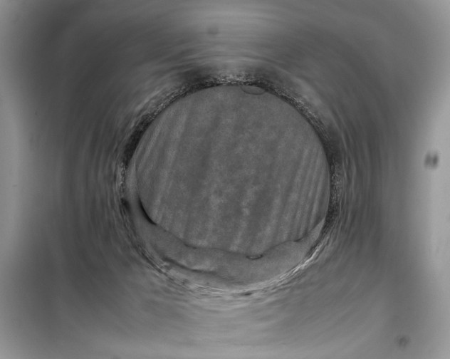 X0000098020029200804181214