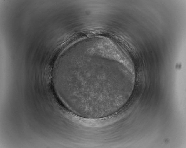 X0000098020030200804181214
