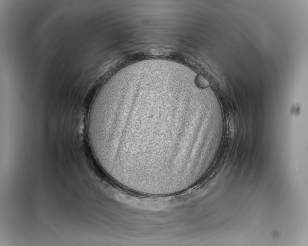 X0000098020032200804181214