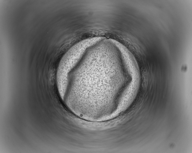 X0000098020034200804181214