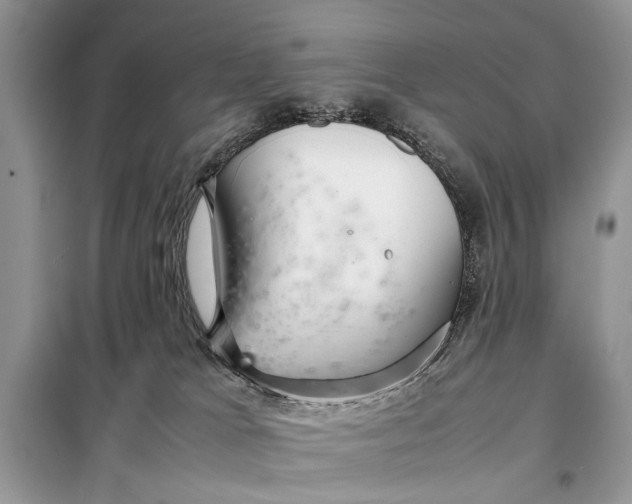 X0000098020037200804181214