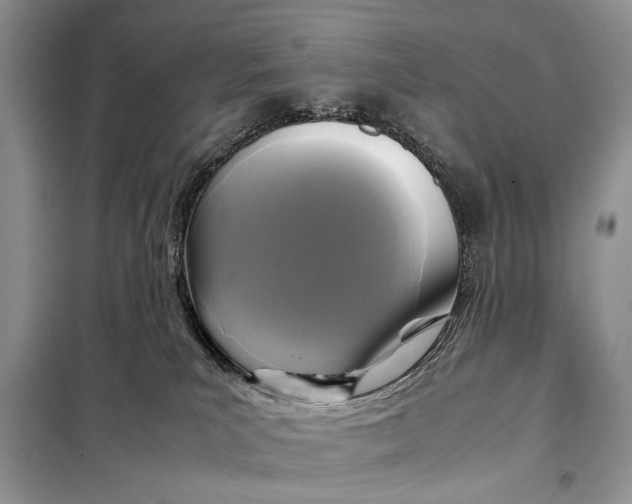 X0000098020039200804181214